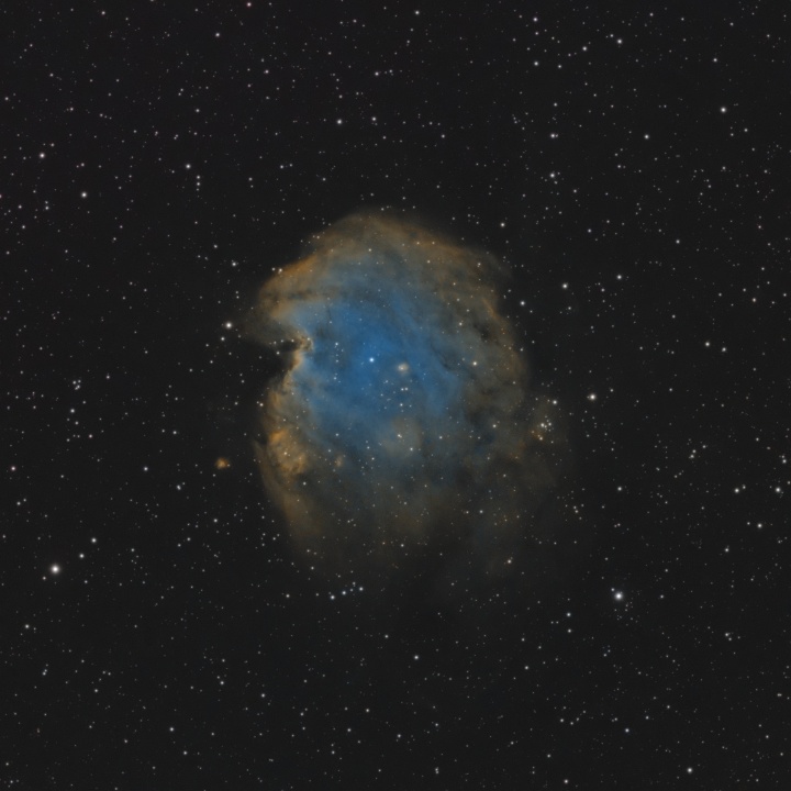 NGC2174 SHO