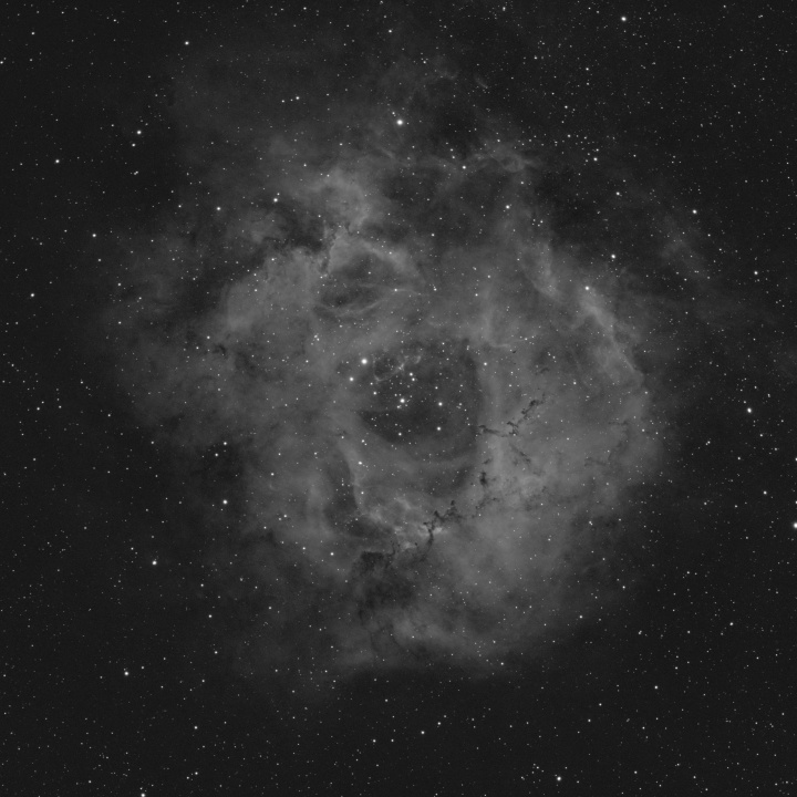 Rosette nebula in Ha (no noise reduction)